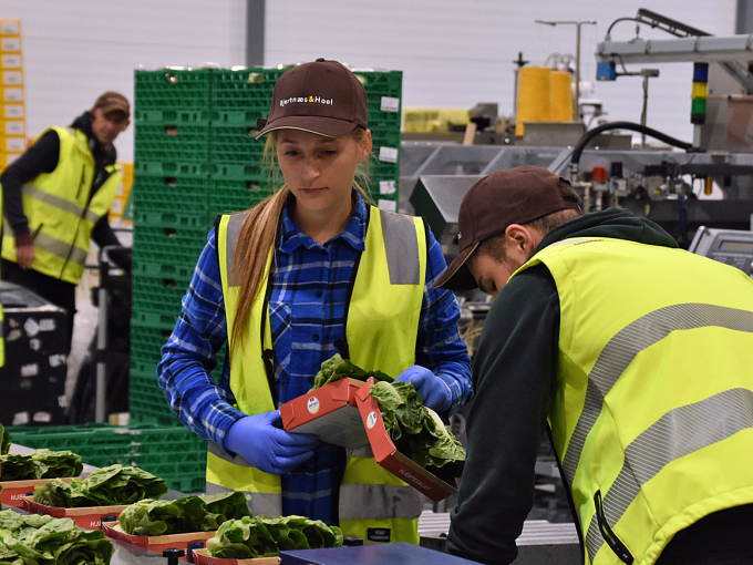 Henrik Hoel orienterte om det nye grønnsakspakkeriet som åpnet i juni 2020. Foto: Liv Anette Luane, Det kongelige hoff
